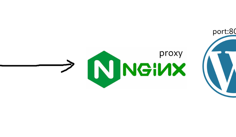 wordpress proxy with nginx